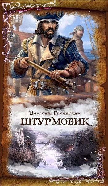 Штурмовик. Цикл из 4 книг - Валерий Гуминский